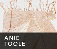 Anie Toole - Online Gallery Thumnail template
