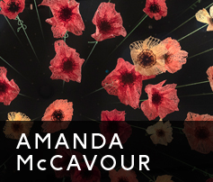Amanda McCavour