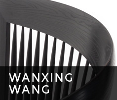 Wanxing Wang